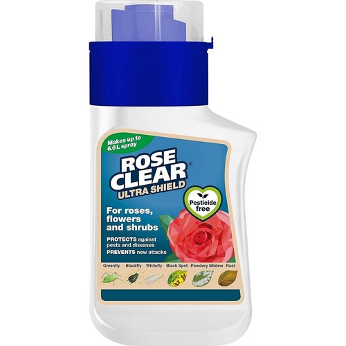 Rose clear ultra - ultra, concentrate